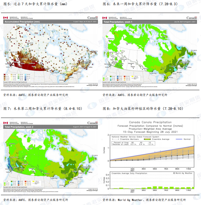 加拿大菜籽产区:未来一周干旱无降水,未来两周雨量偏少