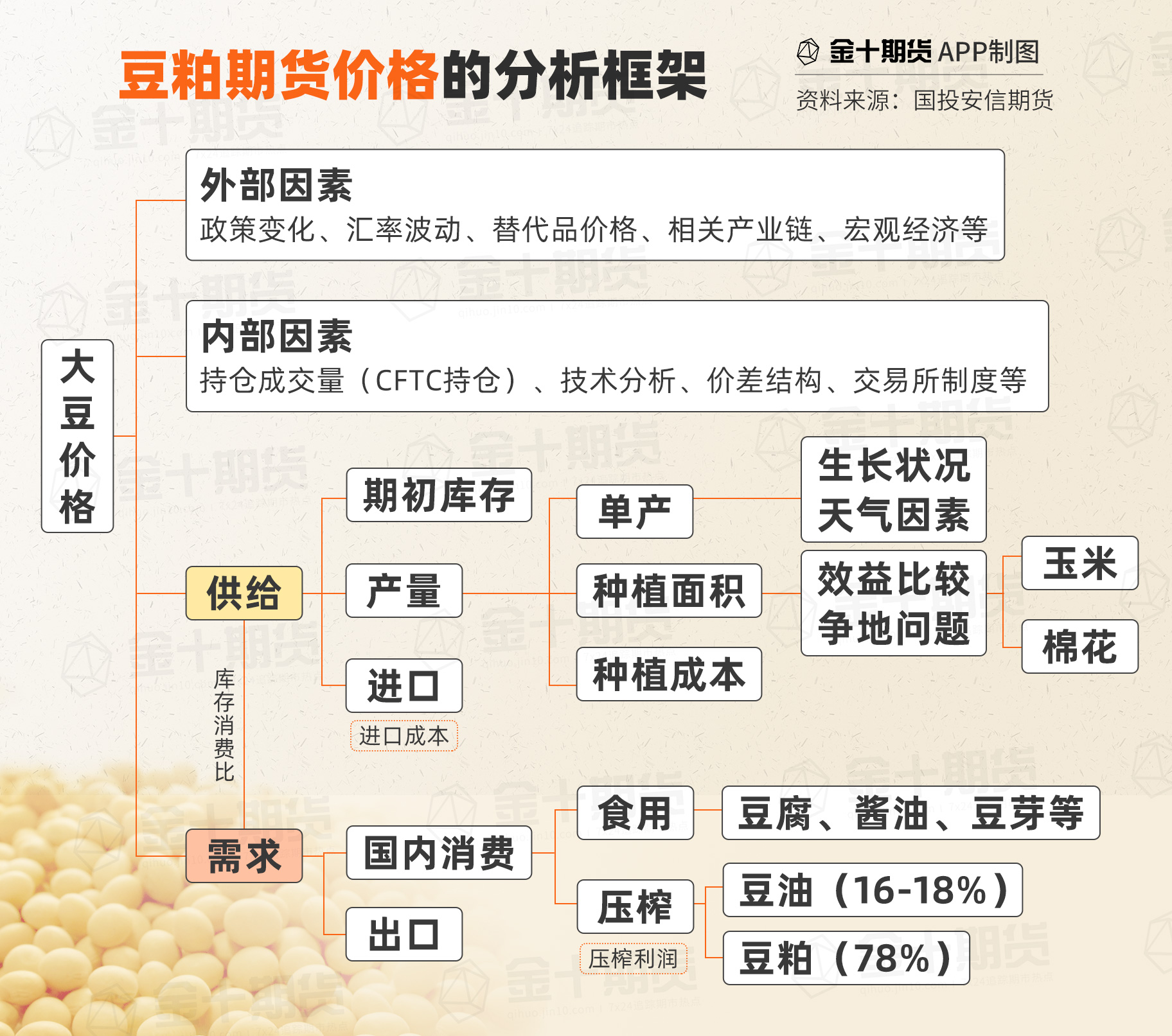 大豆思维导图图片